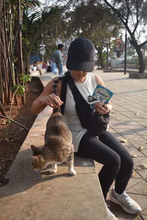 Sausan feeding a tabby community cat on a seaside promenade bench